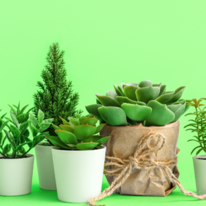 Artificial Decorative Plants